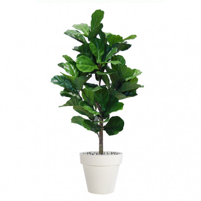 Planta semi-artificiala Ila, Ficus Lyrata Plant Green - 130 cm